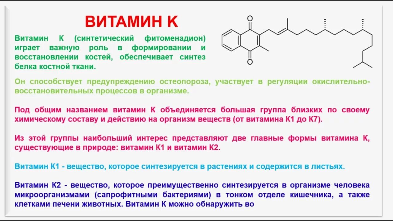 Где происходит синтез витаминов