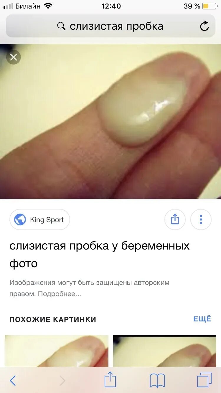 Пробка ли форум