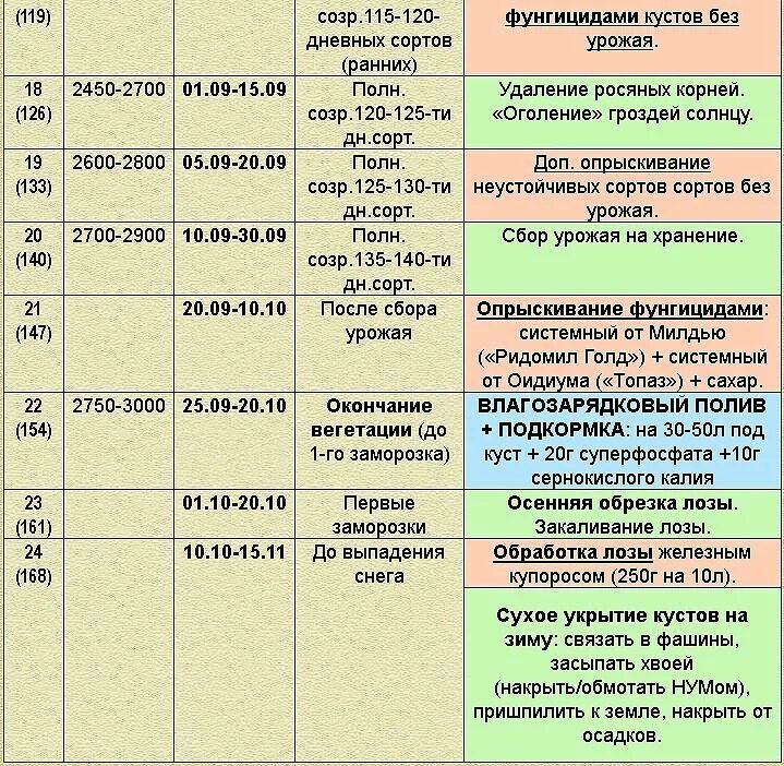 Таблица обработки винограда минеральными удобрениями. Схема внесения удобрений для плодовых деревьев и кустарников. Схема обработки винограда весной. Схема обработки винограда от болезней.