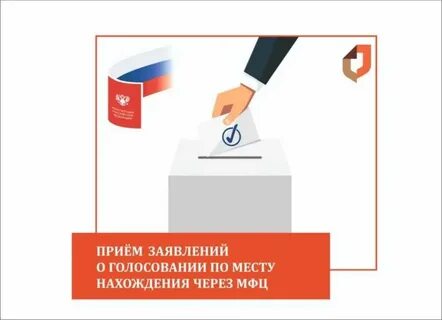 Можно ли проголосовать через мфц