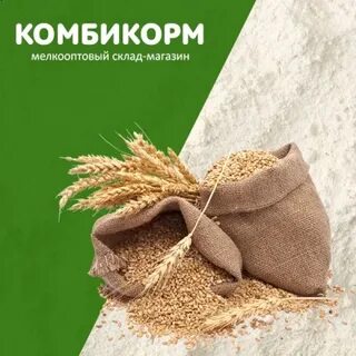Компания комбикорм