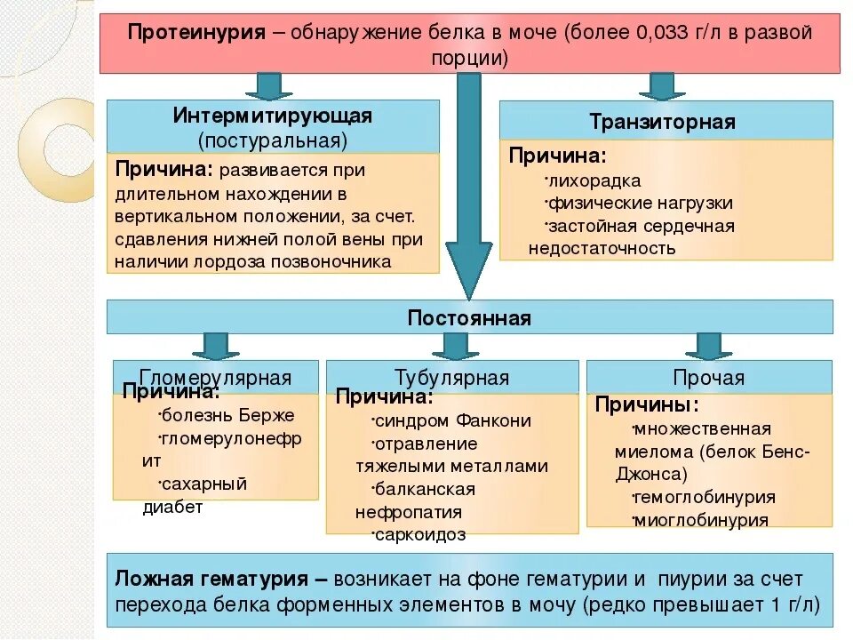 Протеинурия причины. Протеинурия причины возникновения. Протеинурия виды и причины. Незначительная протеинурия в моче.