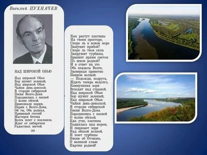 Всякая своему бору шумит