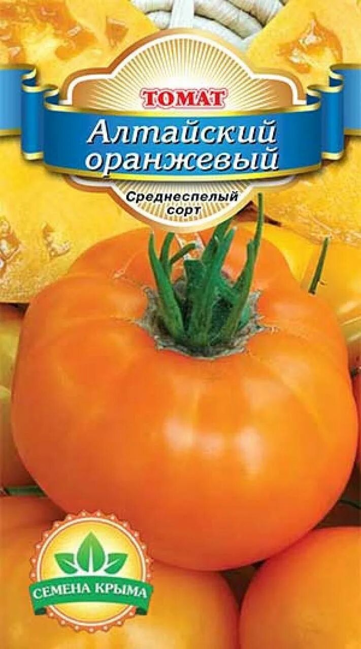 Томат алтайский мясистый. Томат алтайский оранжевый (0,2 гр). Семена алтая томаты. Томат алтайский оранжевый характеристика и описание. Помидоры уральский богатырь.
