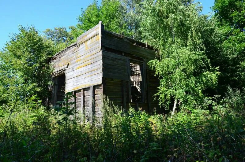 Живут в расположении