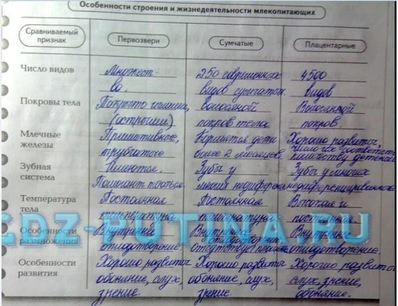 Таблица по биологии 7 класс отряды млекопитающих Биология. ГДЗ. 7 Класс. Латюшин: записи сообщества ВКонтакте