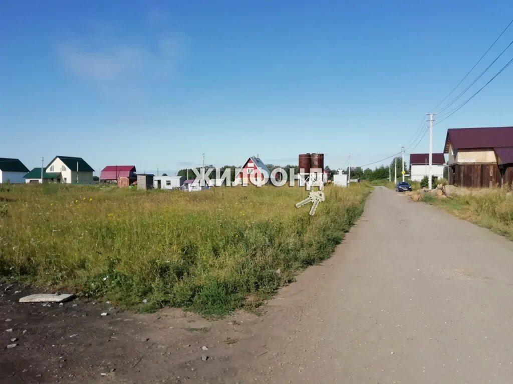 Рябинка Обская. Рябинка Обская СНТ. СНТ Рябинка Обская Новосибирская. Председатель СНТ Рябинка Обская. Земля в оби