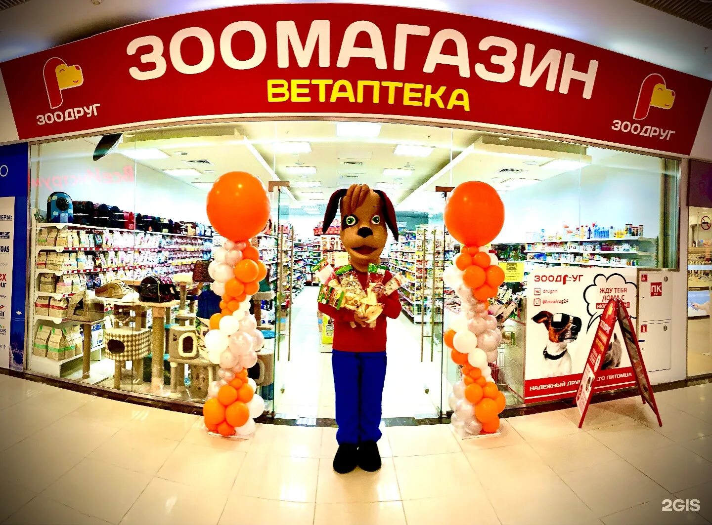 Зоодруг нижний. Магазин зоодруг нижний новгород. Магазин питомец нижний новгород. Зоодруг нижний новгород. Зоомагазин батумская.