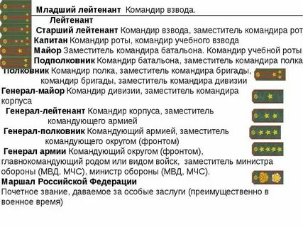 Сроки выслуги в специальном звании лейтенанта