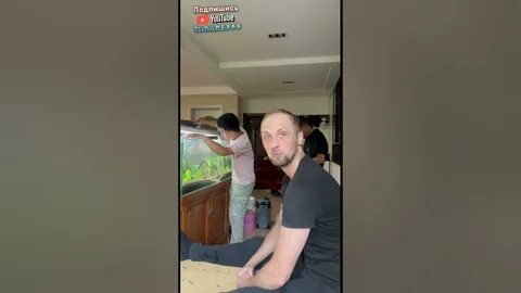 Ну ка поясни зачем меня остановил музыка