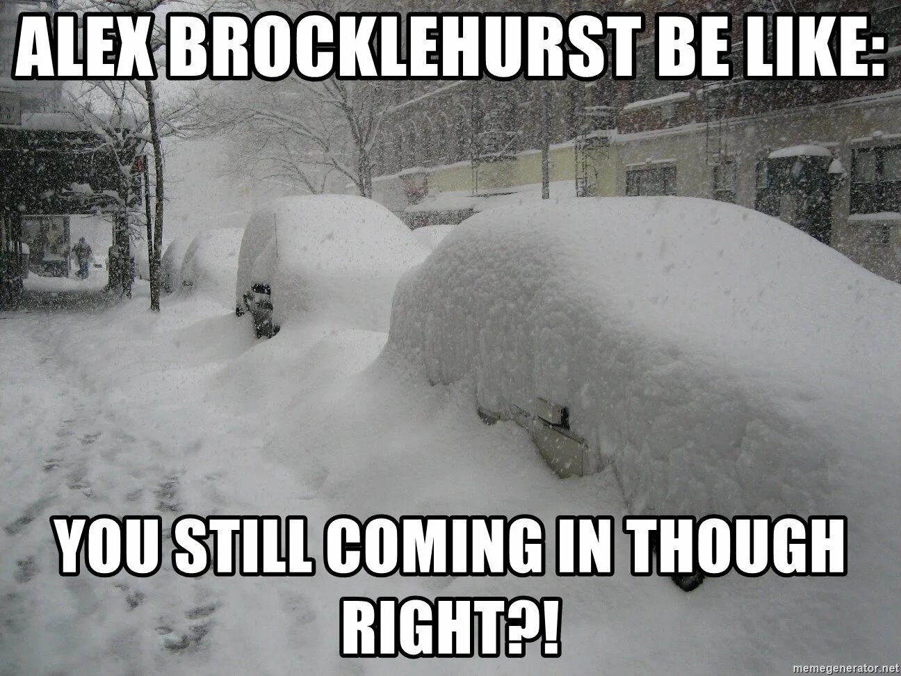 смешное про февраль. смешное про февраль. приметы февраля. февральские картинки прикольные. шутки про метель.