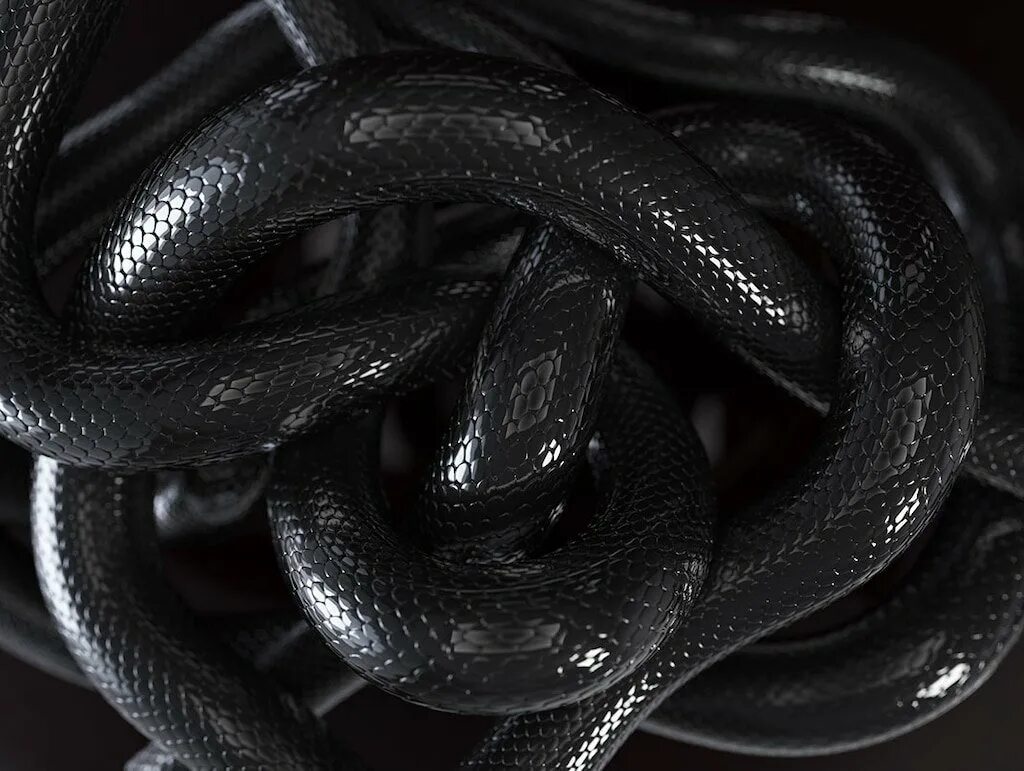 Много черных змей