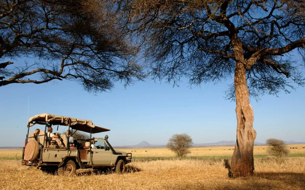 Trip africa. Танзания сафари. Саванна автомобиль. Африка путешествие. Машина для путешествий по саванне.