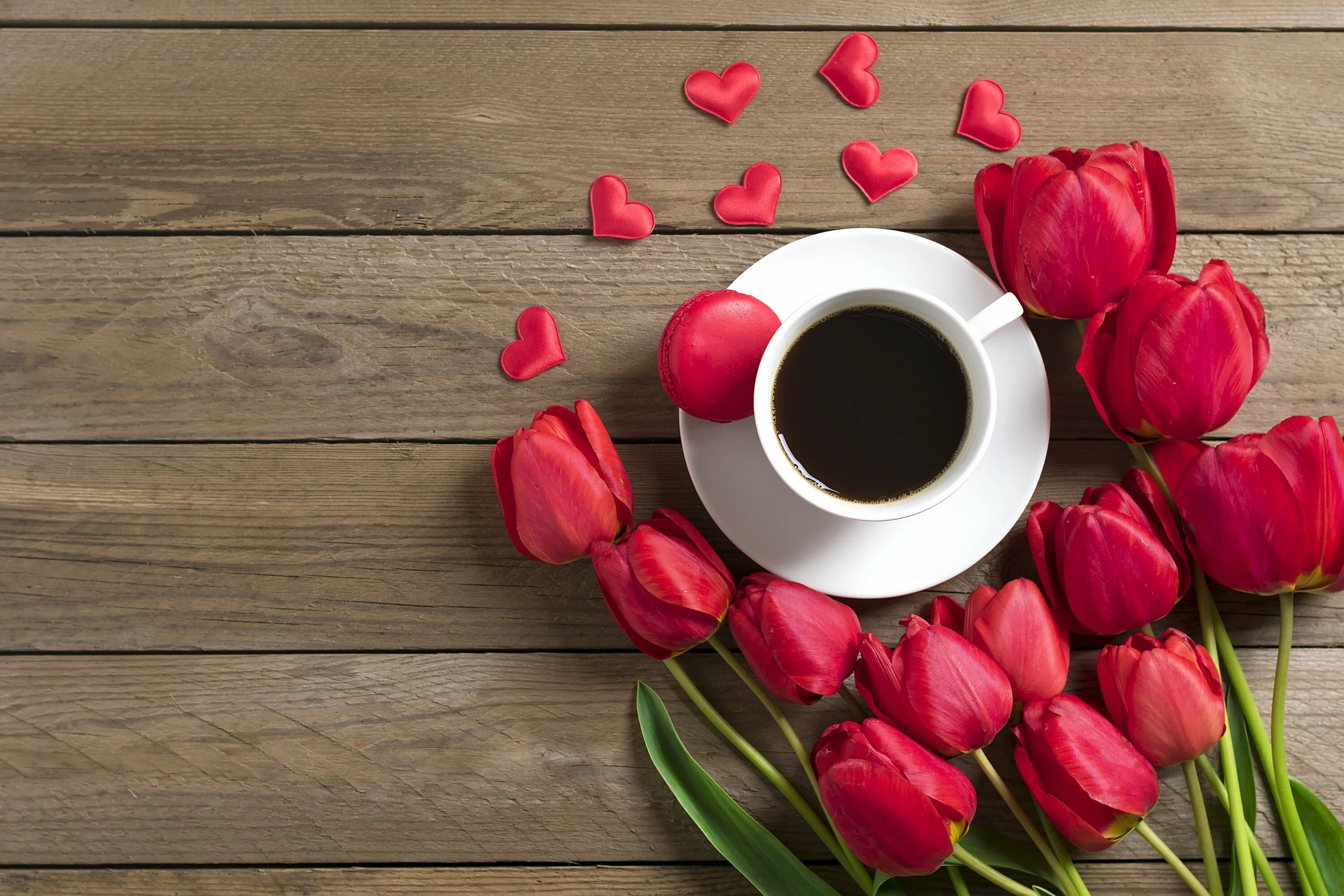 Кофе и цветы. Утренние цветы. Чашка кофе и цветы. Цветы в чашке. Кофе и тюльпаны картинки