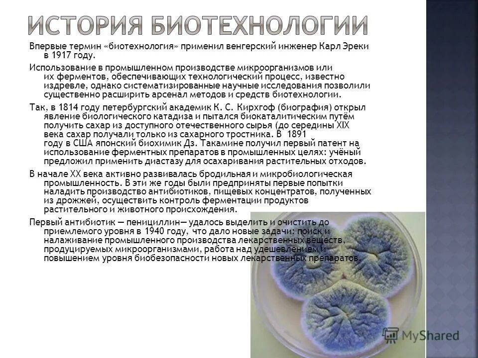 Биотехнология микроорганизмов. Биотехнология характеристика. Бактерии в биотехнологии. Биотехнология. Объекты биотехнологии бактерии.