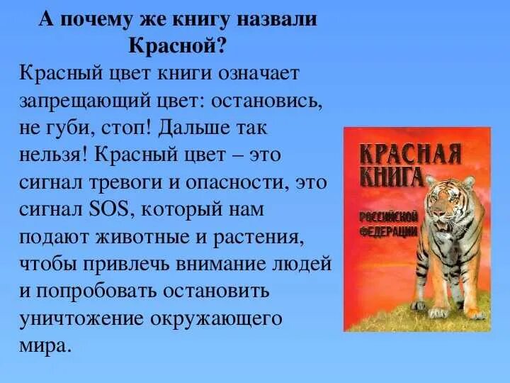 Проект по окружающему миру 4 класс на тему красная книга России. Сообщение красная книга России 4 класс окружающий мир. Проект по окружающему миру 4 класс Международная красная книга. План проекта красная книга России 4 класс окружающий мир. Сделать красную книгу окружающий мир