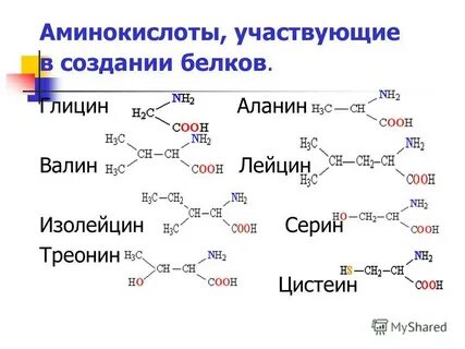 Вещества с которыми взаимодействует аланин. Α-бромпропионовой кислоты. Вещества с которыми взаимодействует аланин. Α-бромпропионовая кислота + аммиак. Вещества с которыми взаимодействует аланин.