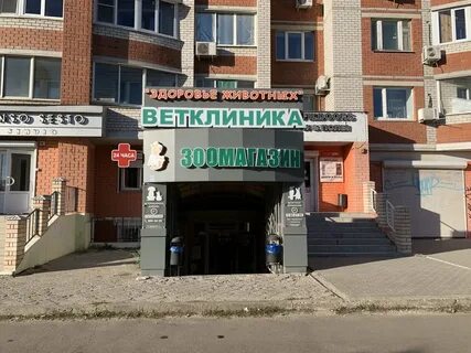 Волгоградская 44 воронеж