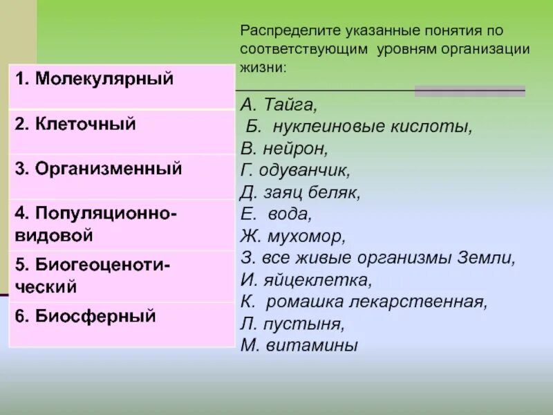 Распределите понятия по уровням организации жизни. Одуванчик какой уровень организации. Уровень организации живого нуклеиновых кислот. Ядро уровень организации. Вода уровень организации