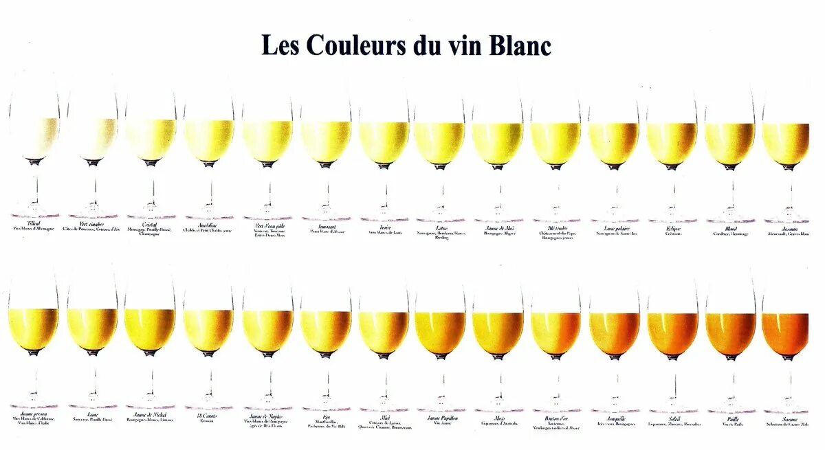 Белое вино цвет. Сорта белого вина. Цвет белых вин. Сорта белых вин.