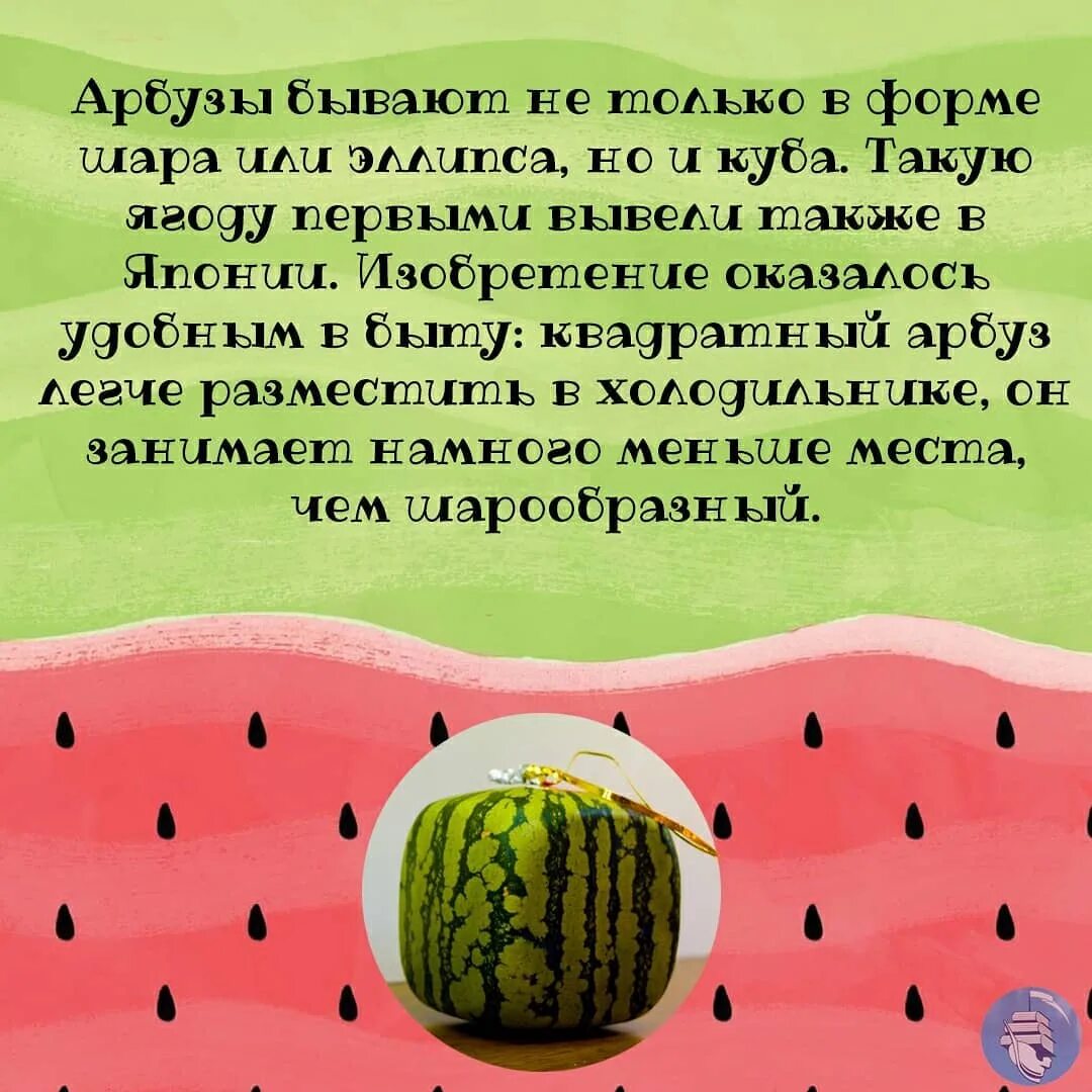 С днем арбуза поздравления. День арбуза 3 августа. День арбуза картинки поздравления. Пожелания с арбузами. Анекдот про арбузы