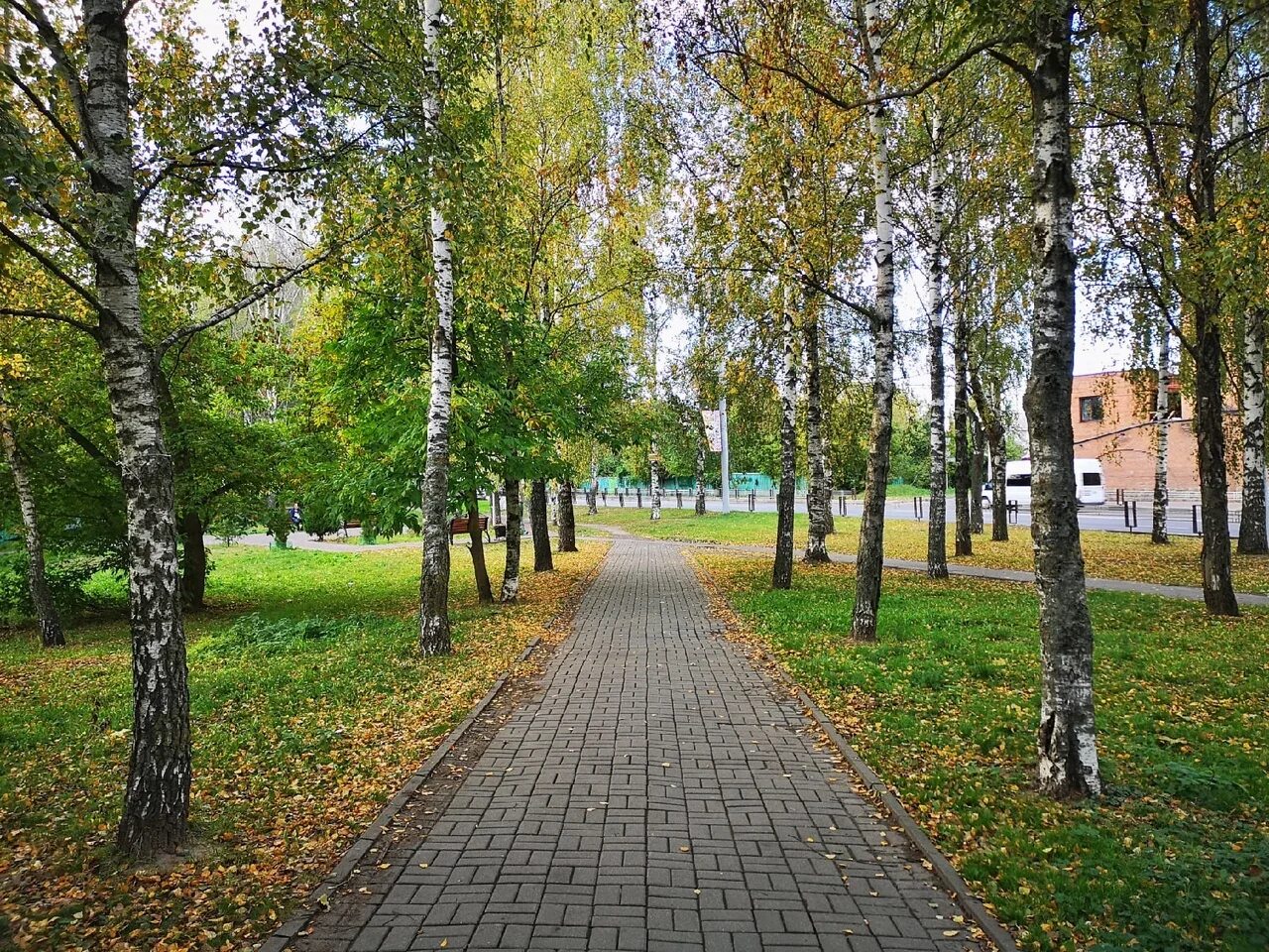 Погулять брянске. Парк поколений Брянск. Брянск осенний парк пл Ленина. Брянск осенью. Природа города Брянска.