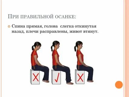 Практическая работа по биологии 8 класс осанка