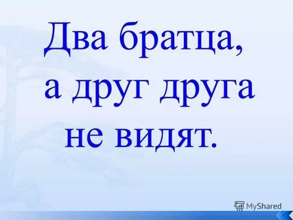 Два братца