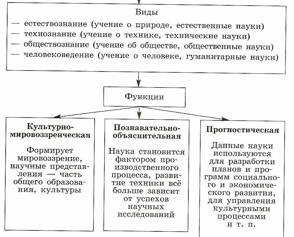 Каковы функции обществознания. Схема функции науки в обществе. Виды наук в обществознании. Наука это в обществознании. Виды и функции науки Обществознание.