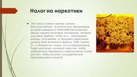 Самые нелепые налоги
