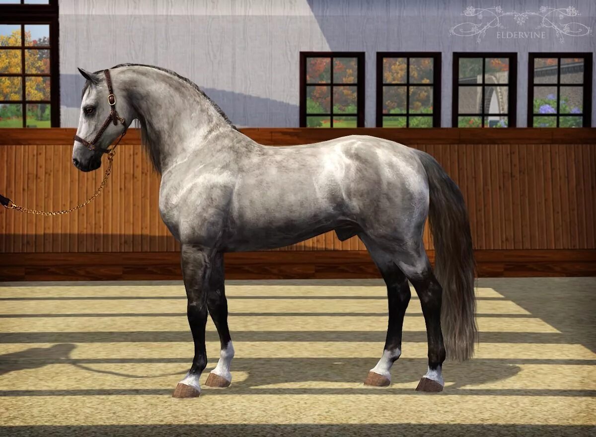 Horse sim. Симс 3 питомцы лошади. The SIMS 3 питомцы Андалузская лошадь. The SIMS 4 питомцы лошади. SIMS 3 лошади.