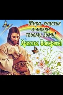 В моем душе царит