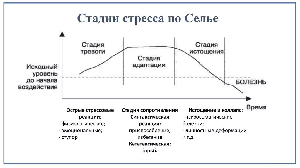 Реагировать на изменения внутренней и. Стадии развития стрессовой реакции. Динамика развития стресса Селье. Этапы развития стресса по Селье. Стадии развития стресса по г Селье.