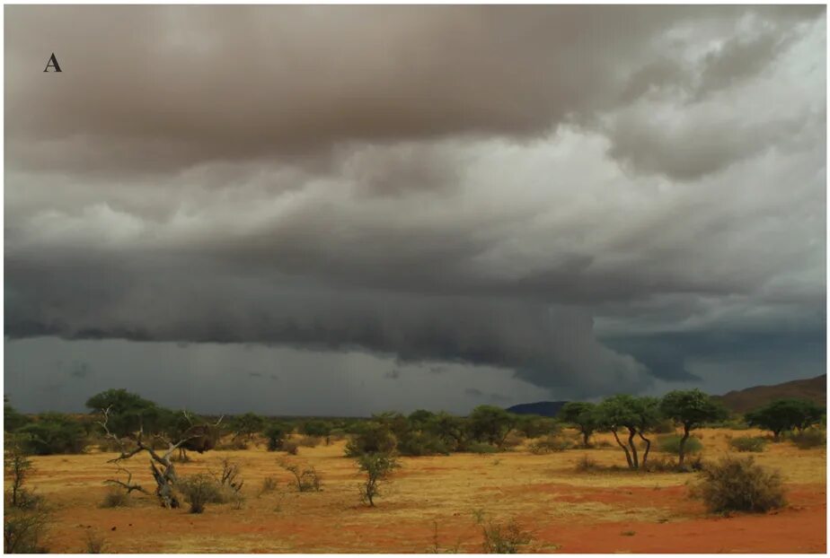 Первый ливень в африку приходит. Дождь в саванне. Дождь в Кении.