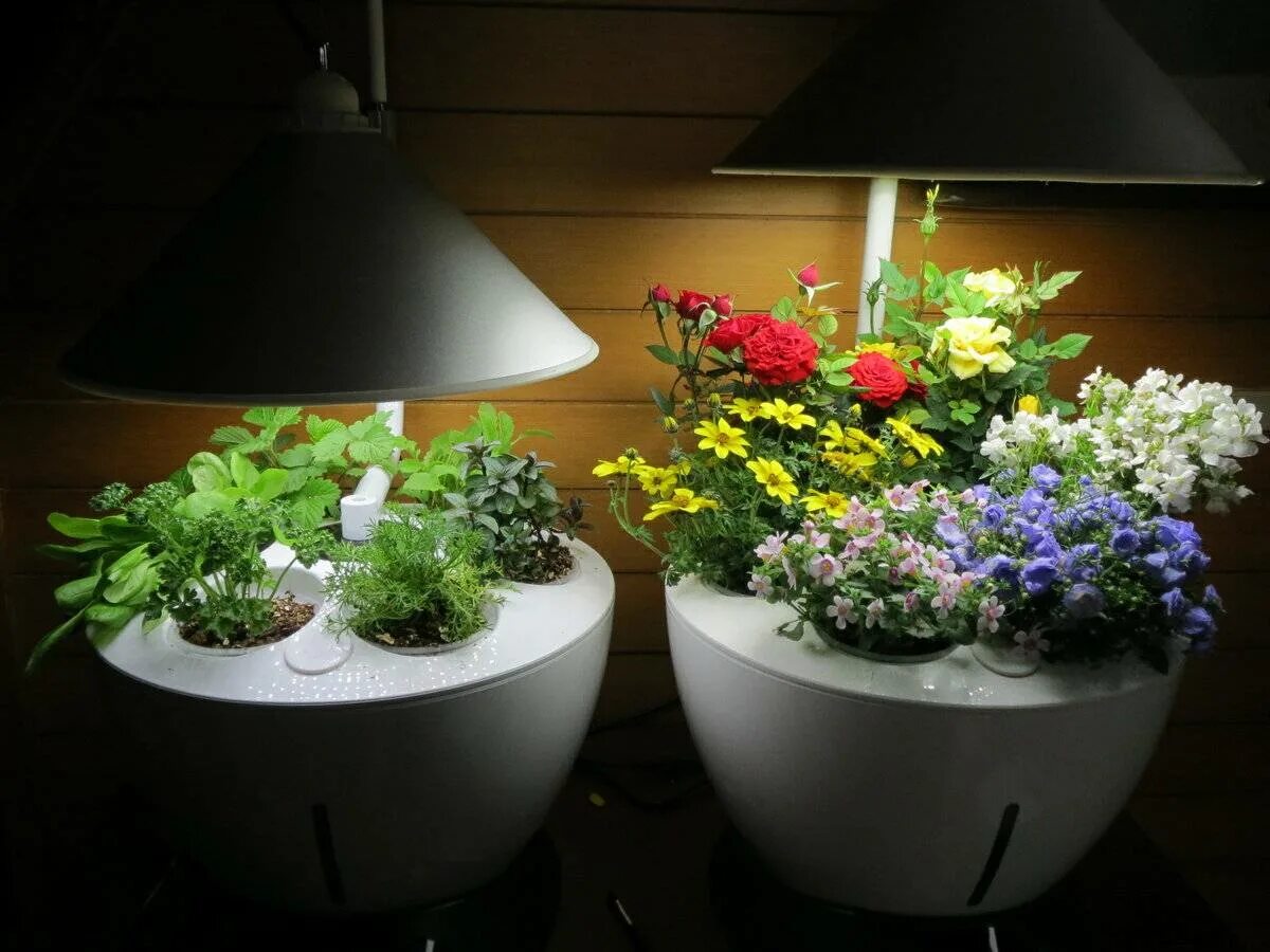 Подсветка для комнатных цветов. Растение в горшке. Лампа для комнатных растений. Цветы в горшках в интерьере.