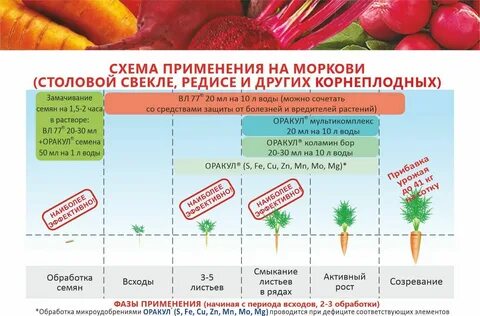 Сколько замачивать морковь