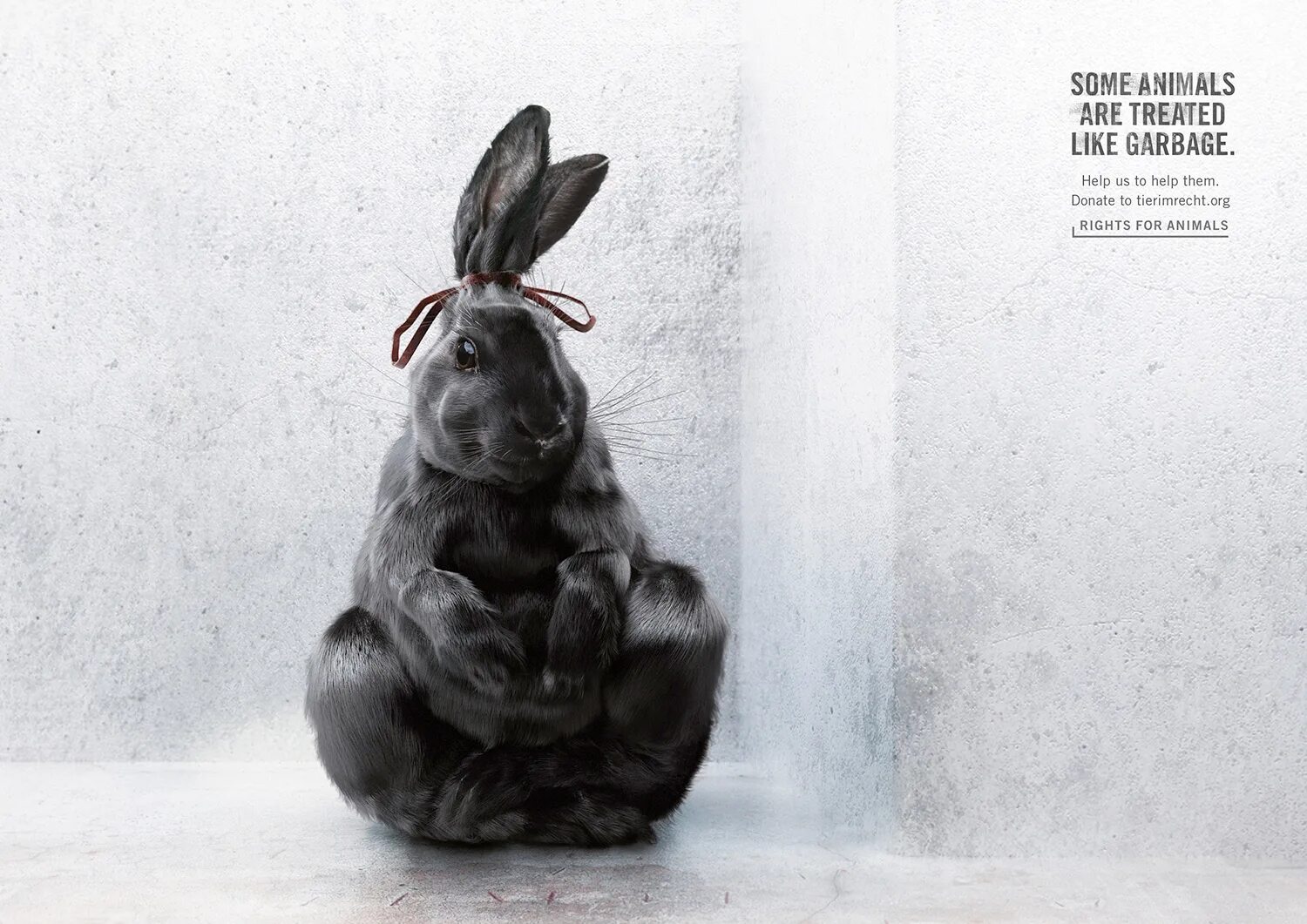 Гиены в африке. Гиена в саванне. Animal habitats for kids. Some animals. Млекопитающие звери.