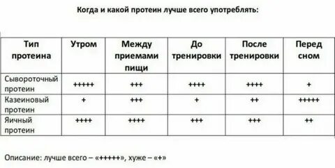 Сколько раз надо пить протеин в день