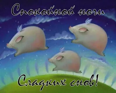 Спокойного сна картинки смешные