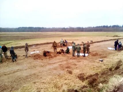 Новой буре