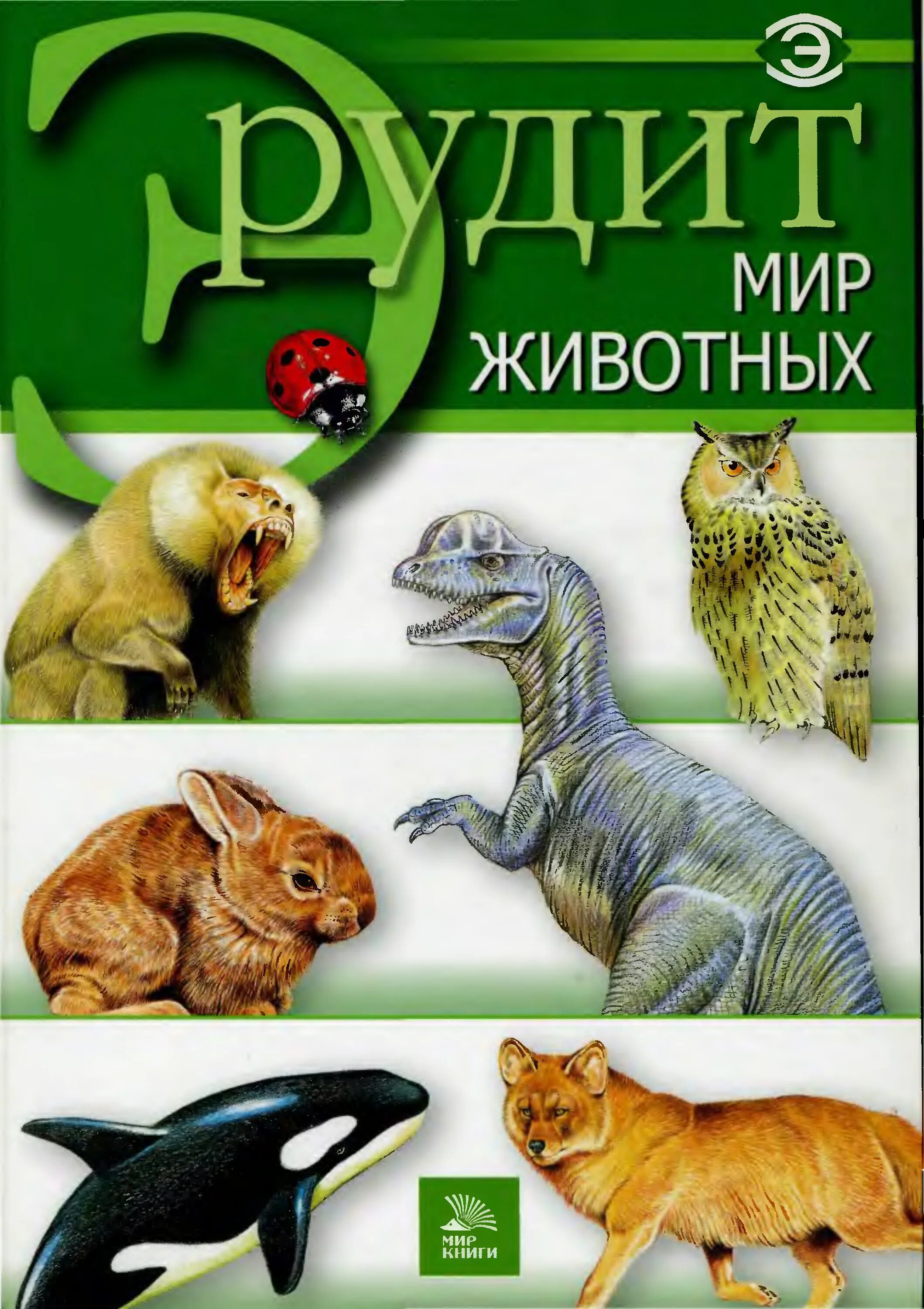 Животные и их мир книга. Книга животный мир. книжка мир животных. издательство мир книги про животных. энциклопедия мир животных.