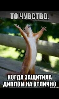 Защитила на отлично