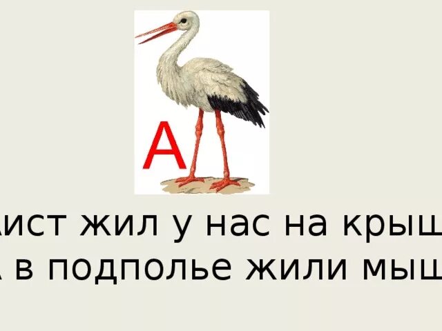 Жил у нас на крыше. АИС жыл унас на кырыше а в подпол е жили мыши. Аист жил у нас на крыше а в подполье жили мыши. Аист жил у нас на крыше а в подполье жили мыши Азбука. Аист жил у нас на крыше.