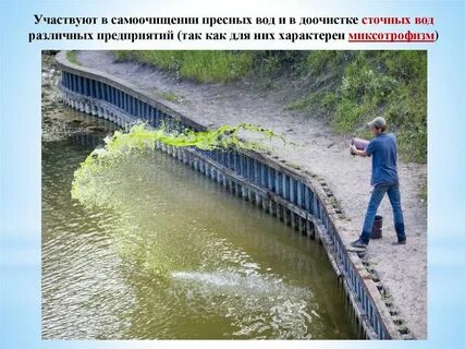 Механизм вода