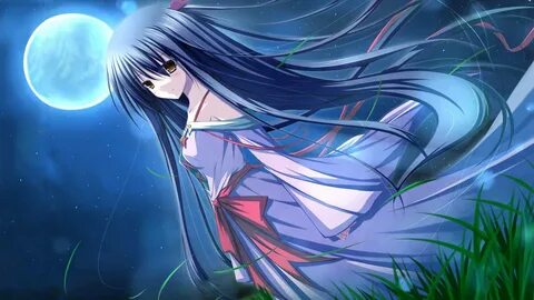 雾之本境S, игра, Визуальная новелла, Логическая 