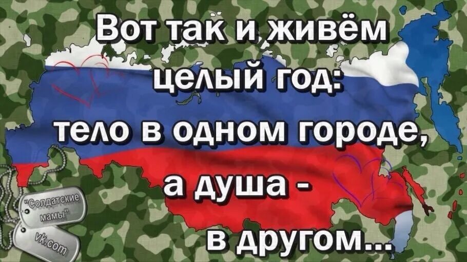 Месяцы службы в армии картинки. 3 Месяца службы в армии. Открытка 8 месяцев службы в армии. 8 Месяцев службы в армии. Поздравление с 8 месяцев службы в армии.