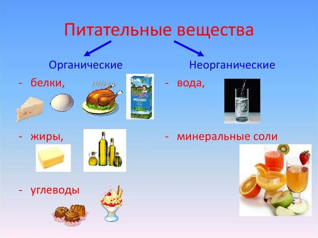 Вода органическая или неорганическая. Питательные вещества. Белки жиры углеводы Минеральные соли. Пища и питательные элементы. Питательные вещества органические и неорганические.