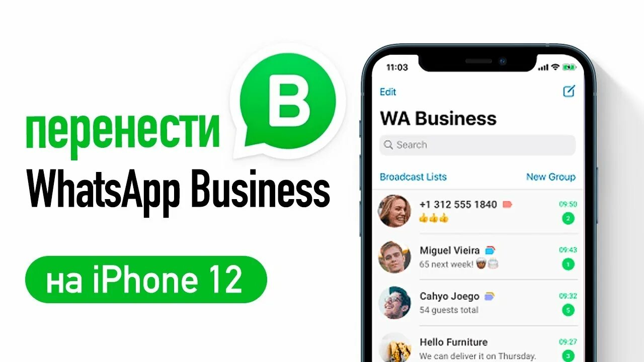 Новый ватсап установить на старые телефон. WHATSAPP нового. Установить ватсап бизнес на айфон. Как выйти из ватсап бизнес на айфон XR.