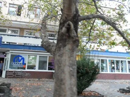 Ломоносова ялта