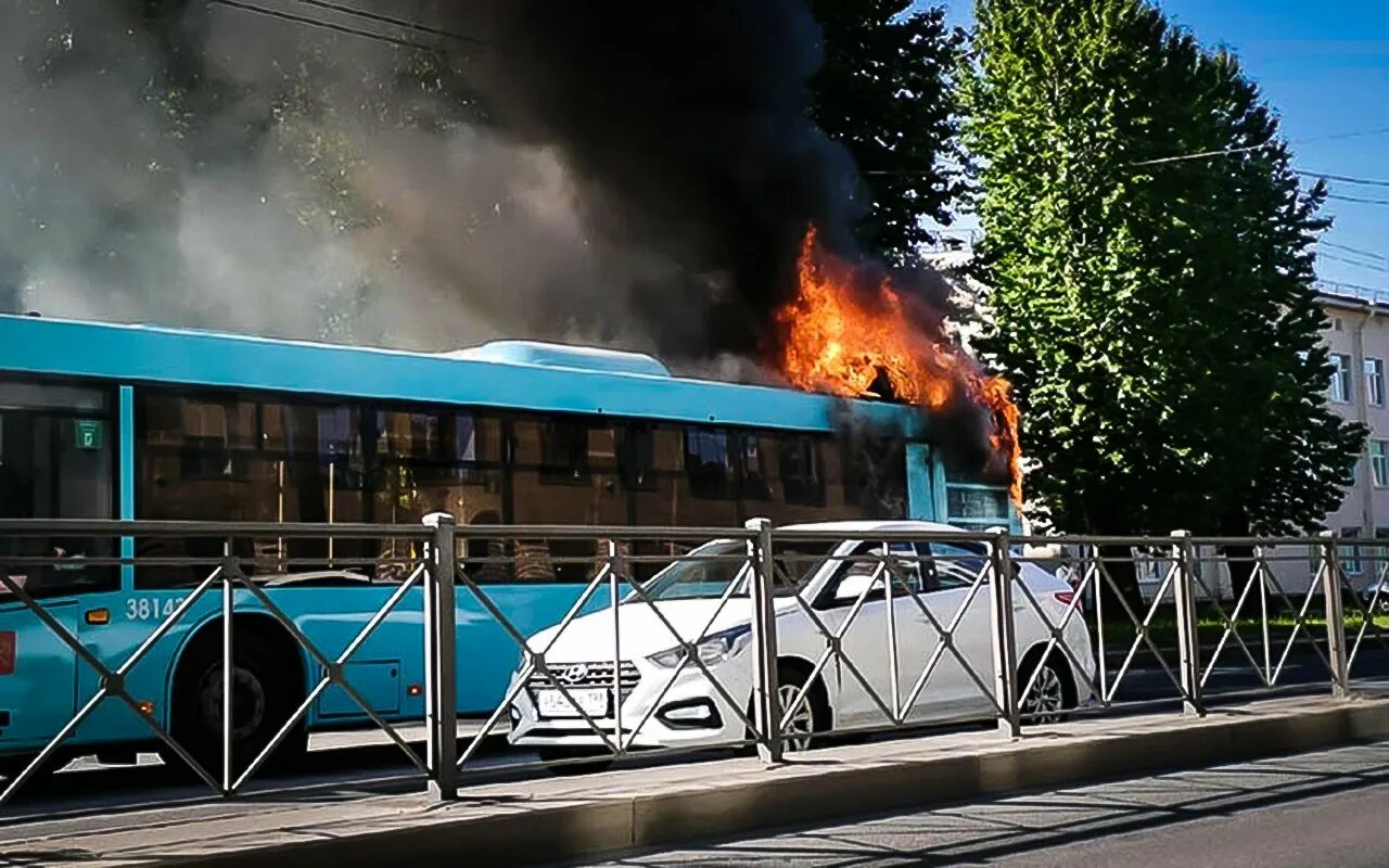 Автобус МАЗ 203947. Автобусы МАЗ-20947. МАЗ 203947 Домтрансавто. Автобус Санкт-Петербург пожар маза.